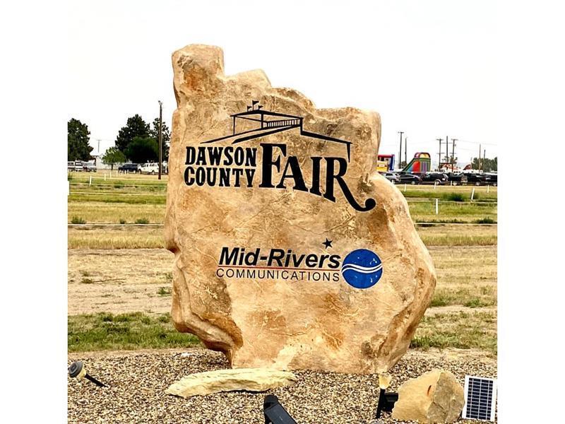 Logo for Dawson County Fair 2025