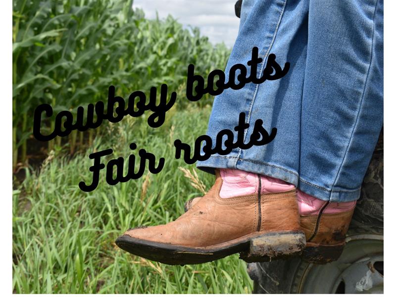 Logo for 2025 Nemaha County Fair