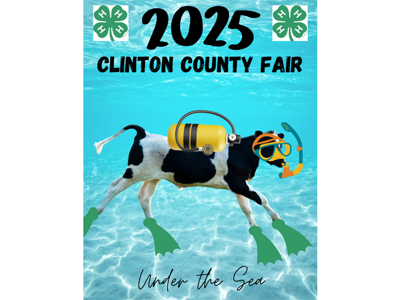 Logo for 2025 Clinton County (NY) Fair