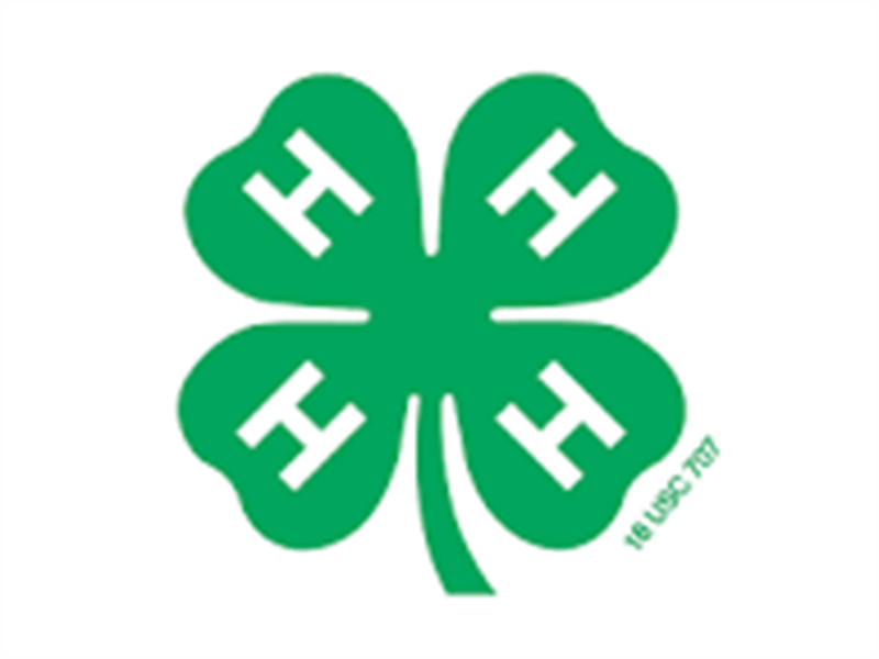 Logo for JULY - 2025 WC 4-H Horse Show
